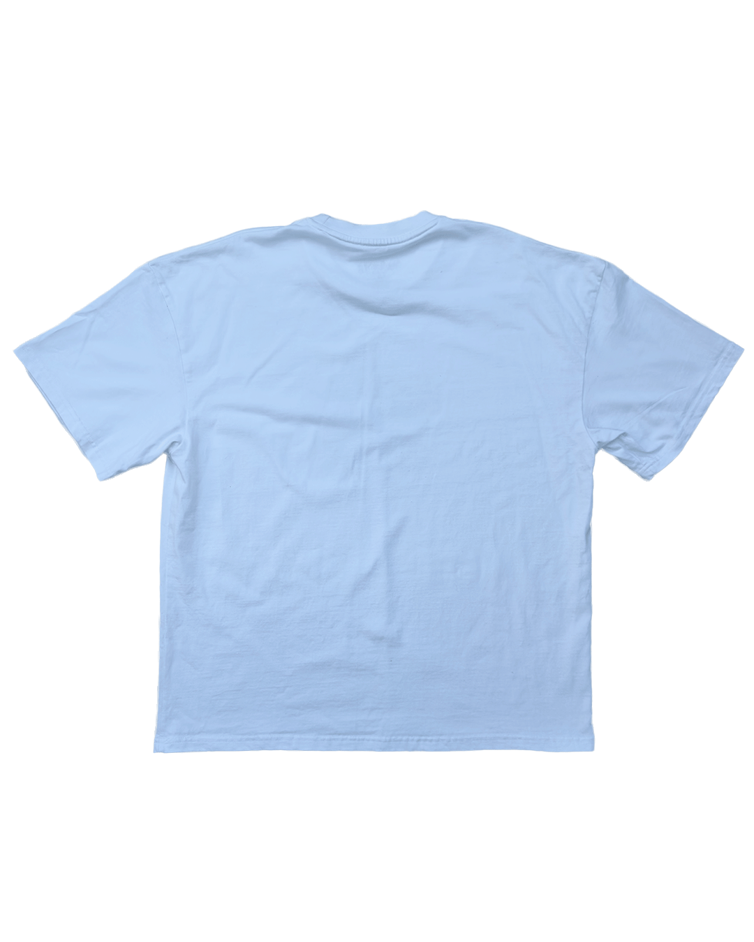 LOST GRASP TEE (WHITE)